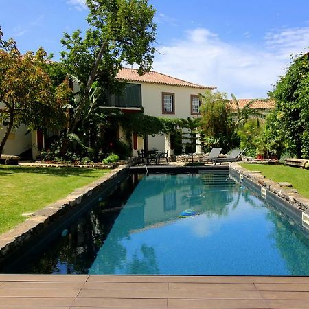 דירות פונשל Quinta Araucaria Funchal מראה חיצוני תמונה